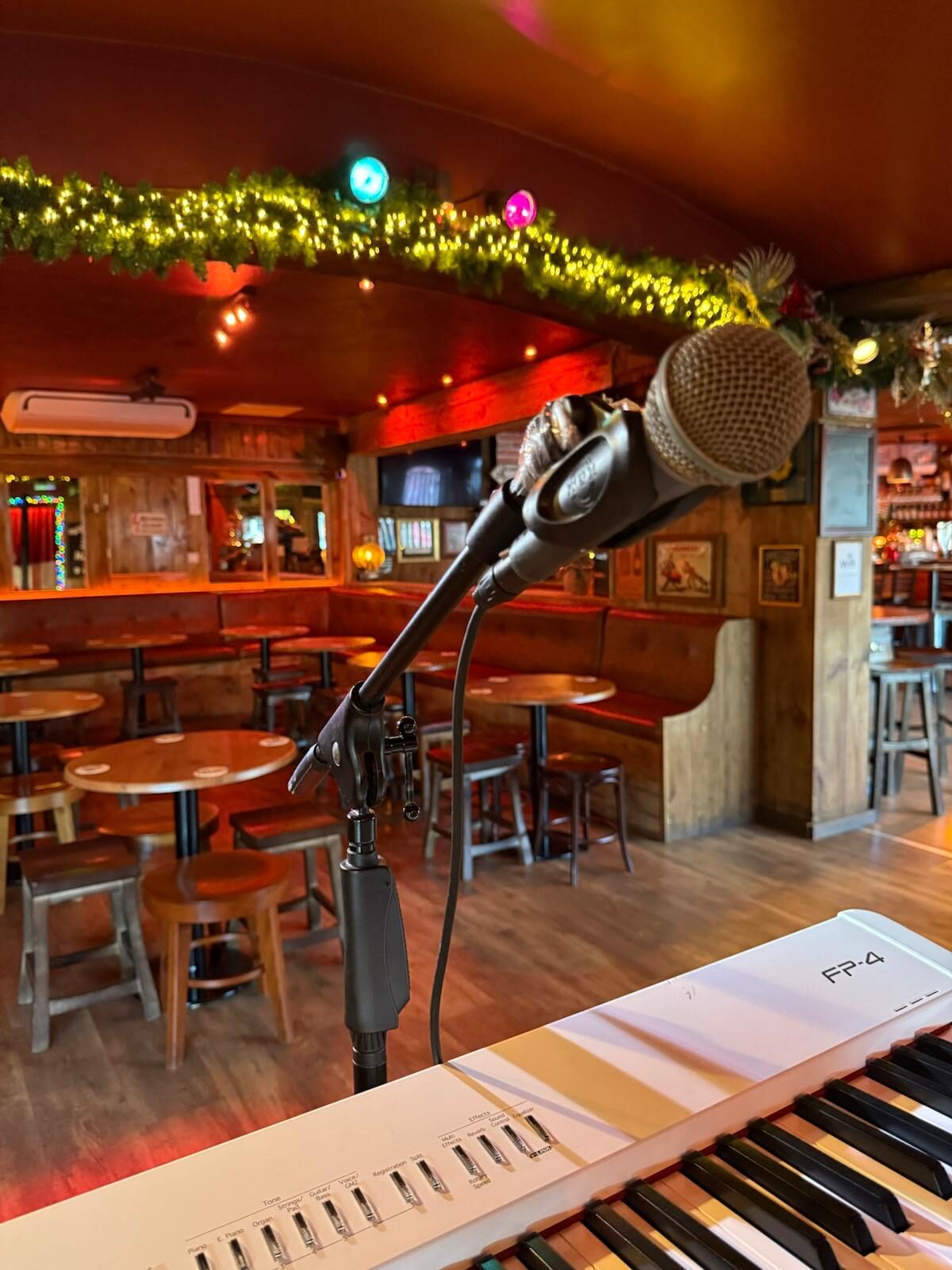 Musicians Performing